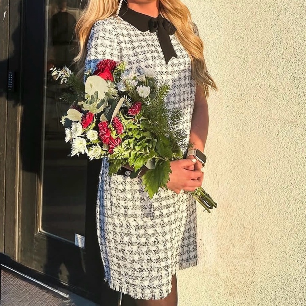 Dillards Bow Collar Dress